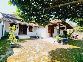 Rumah Clasic Invlude Limasan Gebyok Jati Area Strategis Tengah Kota