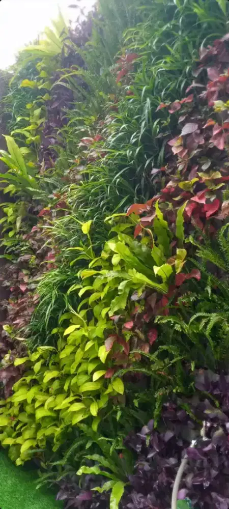 Menerima Pembuatan Vertical Garden