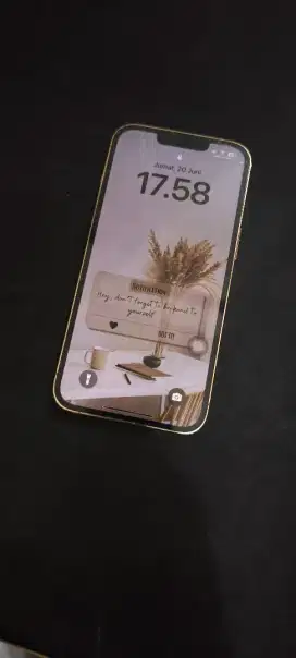 Iphone 13 Pro 256gb Gold Mulus
