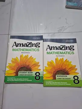 amazing mathematics 8