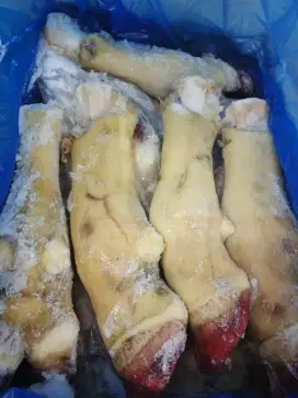 Kaki sapi impor dengan kualitas terbaik