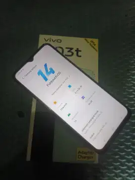 Vivo y03T 4+4/64 fullset
