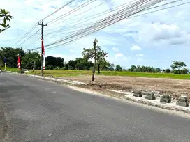 Tanah Murah Jogja Dekat Sekolah Budi Mulia