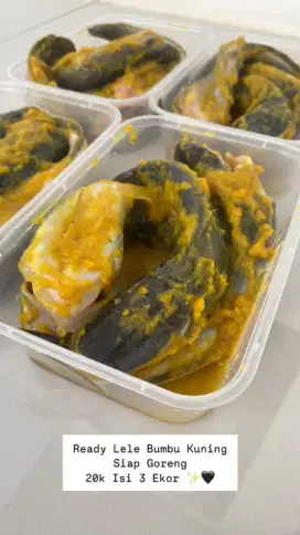 Lele Bumbu Kuning