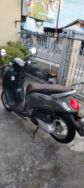 Honda Scoopy stylish 2022