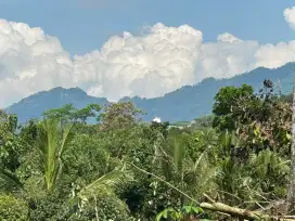 JUAL TANAH DEKET CANDI BOROBUDUR