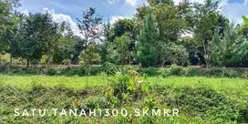 Dijual tanah kebun luas pinggir jalan dekat kota
