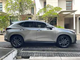 Lexus NX300 2023 Bensin