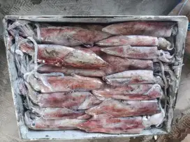 Helper kedai seafood
