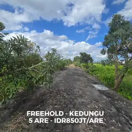 Dijual sebidang tanah di kawasan pantai Kedungu, Tabanan Bali