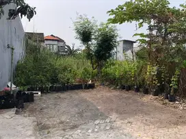 ‼️JUAL CEPAT‼️COCOK DIKAVLING TANAH BUNCITAN SEDATI SIDOARJO