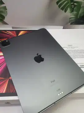 Apple ipad pro m1 256gb celuler ibox