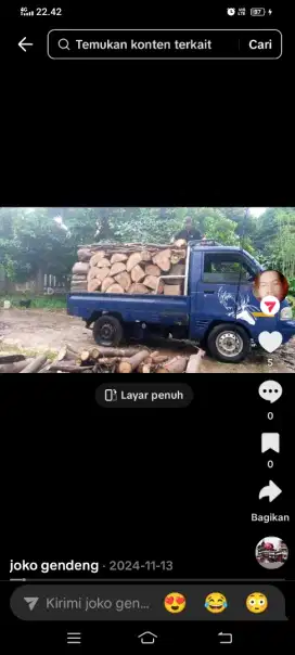 Yang mau tebang pohon