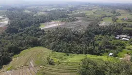 Tanah Dijual Denpasar - Gilimanuk Dekat Pantai Soka