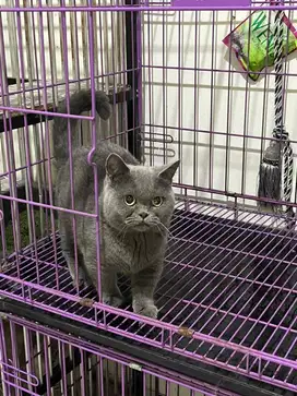 Munckhin bsh steril