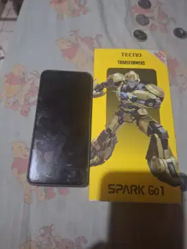 Tecno Spark Go 1