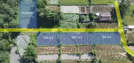 Tanah Pemda Sleman View Sawah & Gn Merapi Cocok utk Villa Resto Hunian