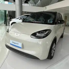 [Mobil Baru] Wuling Binguo EV 333KM AC DC Stock NIK 2024 Milk Tea