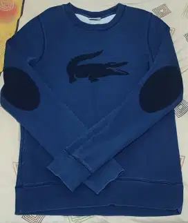crewneck lacoste