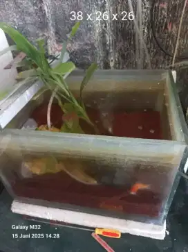 Aquarium 38x26x26 masih bagus