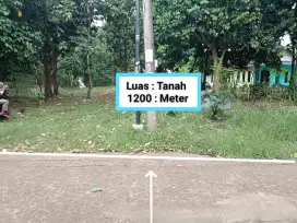 Di Jual Tanah kebun Sudah banyak Pohon Buah nyah Kemang candali Bogor
