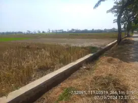 Dijual Tanah SHM Sragen Kedawung – 1 Hektar Hadap Timur & Barat