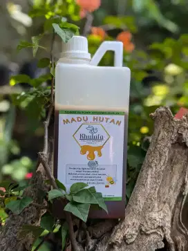 Madu hutan apis dorsata