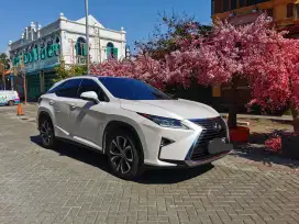 Beauty on the Road. Lexus RX200t 2017 Luxury