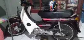 Astrea bulus 92 (nego)