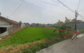 Tanah Sawah 1.313 Meter Persegi Cocok Untuk Kost Ngestiharjo Kasihan B