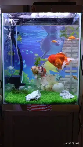 Satu set Aquarium