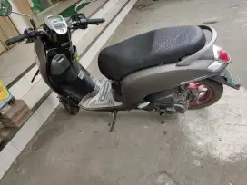 Honda Scoopy 2019