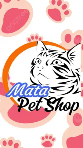 Jasa Panggilan grooming kucing
