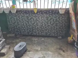 Kaca bekas partisi pintu