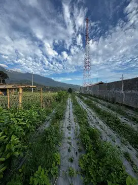 Tanah pingir jalan Utama Bromo Malang lokasi trategis