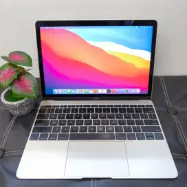 Macbook Retina 12-inch 2015/Core-M/8GB/256GB/CC 809 Normal