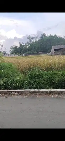 Di jual tanah pribadi dekat pusat kota wonosobo