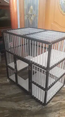 Kandang buat kucing