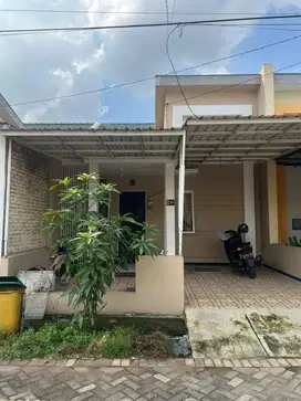 Kontrakan rumah siap huni