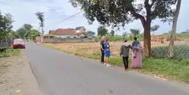 Tanah Sumberjo Kandat Kediri Dijual Murah cepat B.U Poll Pinggir Aspal