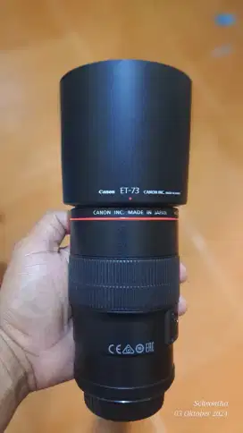 Canon Macro  100 mm F 2.8 IS USM L