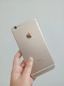 iPhone 6 plus gold