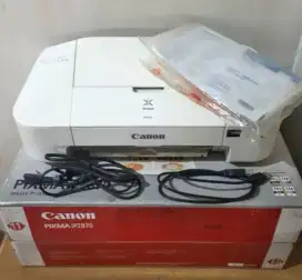 Jual Printer Canon Pixma Ip2870 ..Kondisi Tidak Mau Print Blink