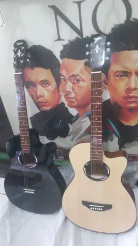 gitar apx tanbes aktif standar