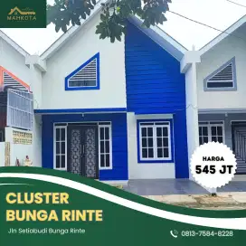 CLUSTER BUNGA RINTE 6x20 M2