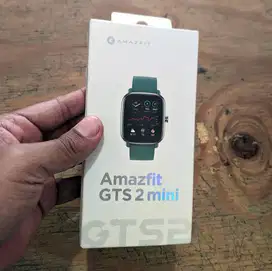 (NEW/BNIB) Amazfit GTS 2 Mini sage green segel dus