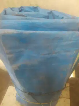Terpal masih bagus panjang