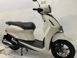 Filano neo 2023/2024