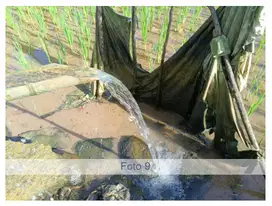 Jual sawah produktip samping jalan besar