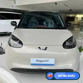 [Mobil Baru] Wuling Binguo EV 333KM AC DC Stock NIK 2024 Milk Tea